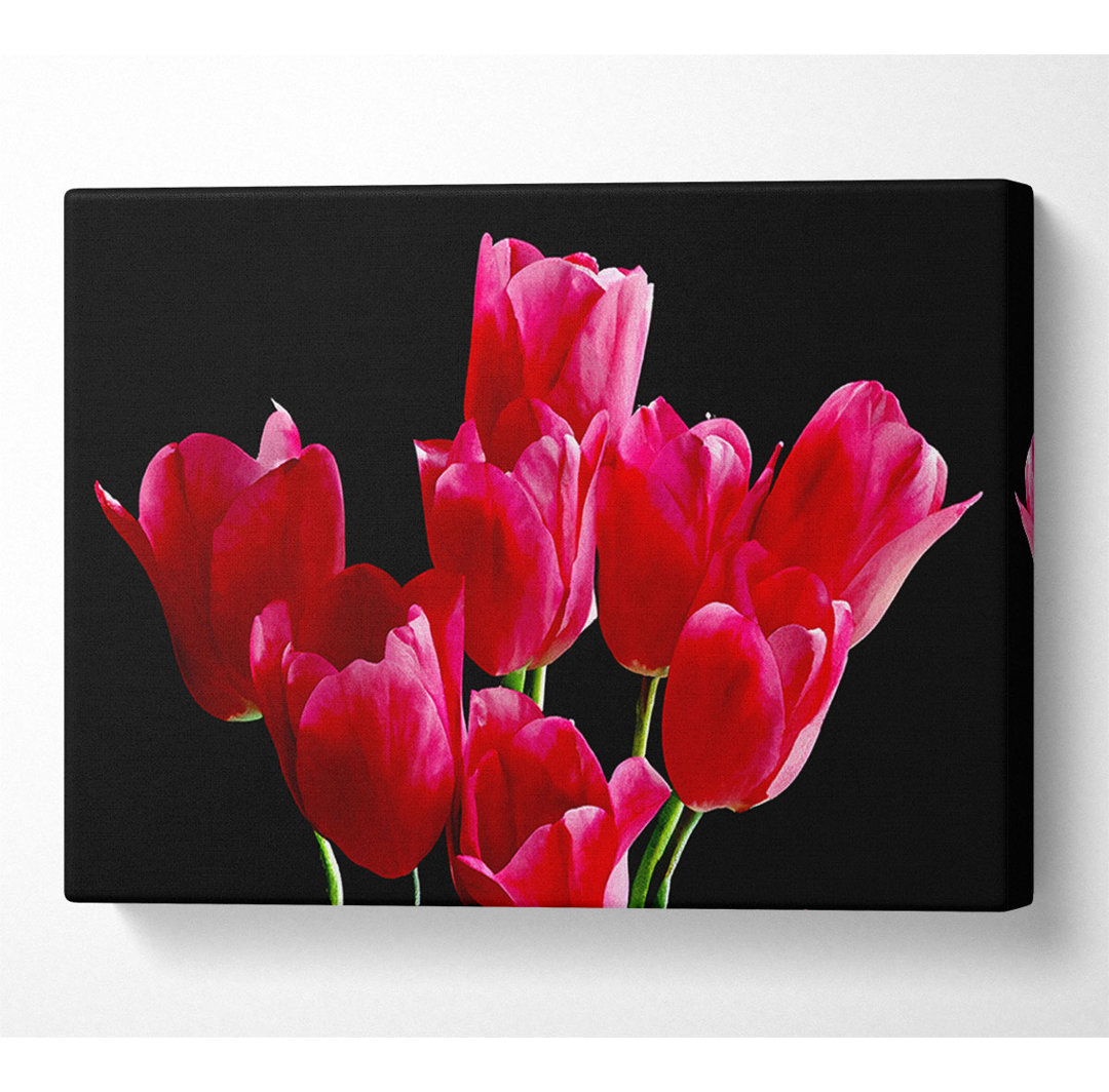 Blume Cerise Tulpen - Kunstdrucke auf Segeltuch