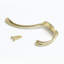 Brass Wall Wall Hook-1352523718