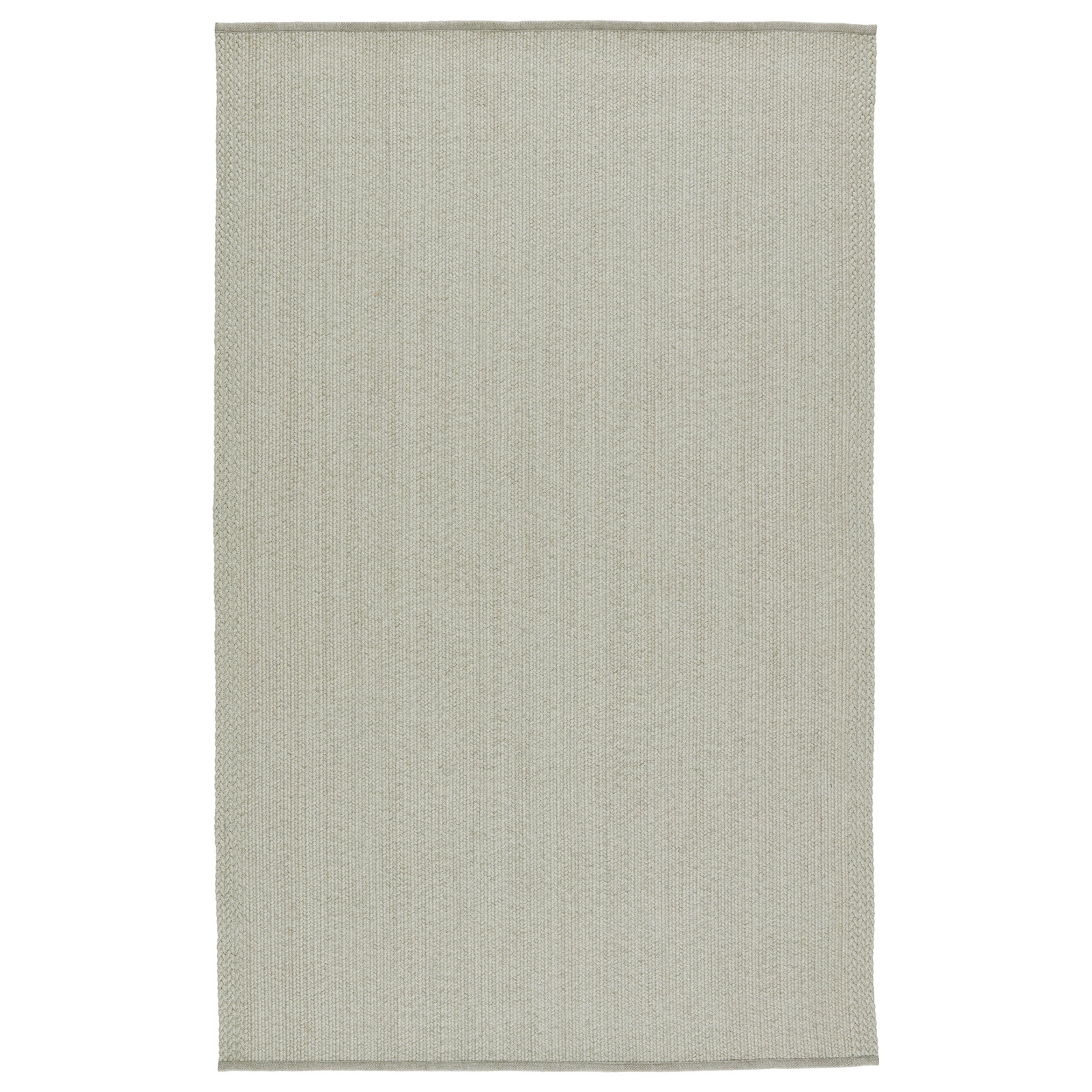 Colten Light Gray Hand-Woven Outdoor Rug, Rectangle 2' x 3'