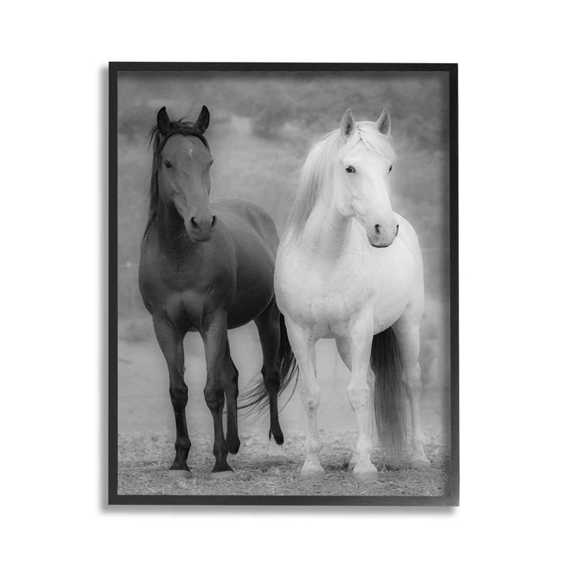 Blanc et chevaux, estampe numérique encadrée par JG Studios, Giclée encadrée noir minuit, H 14 po x l 11 po