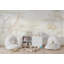 Papier peint safari, décoration murale pastel amovible-642322531-642322530