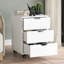 Antojuan 15.74'' Wide 3 -Drawer Mobile File Cabinet-98711773