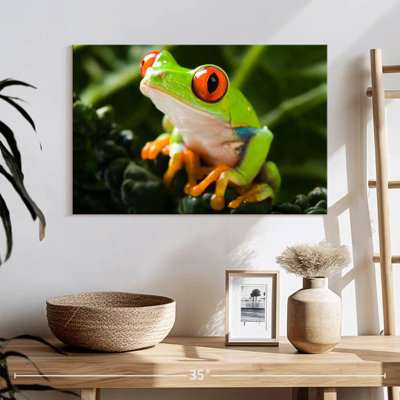 Brampt Tree Frog