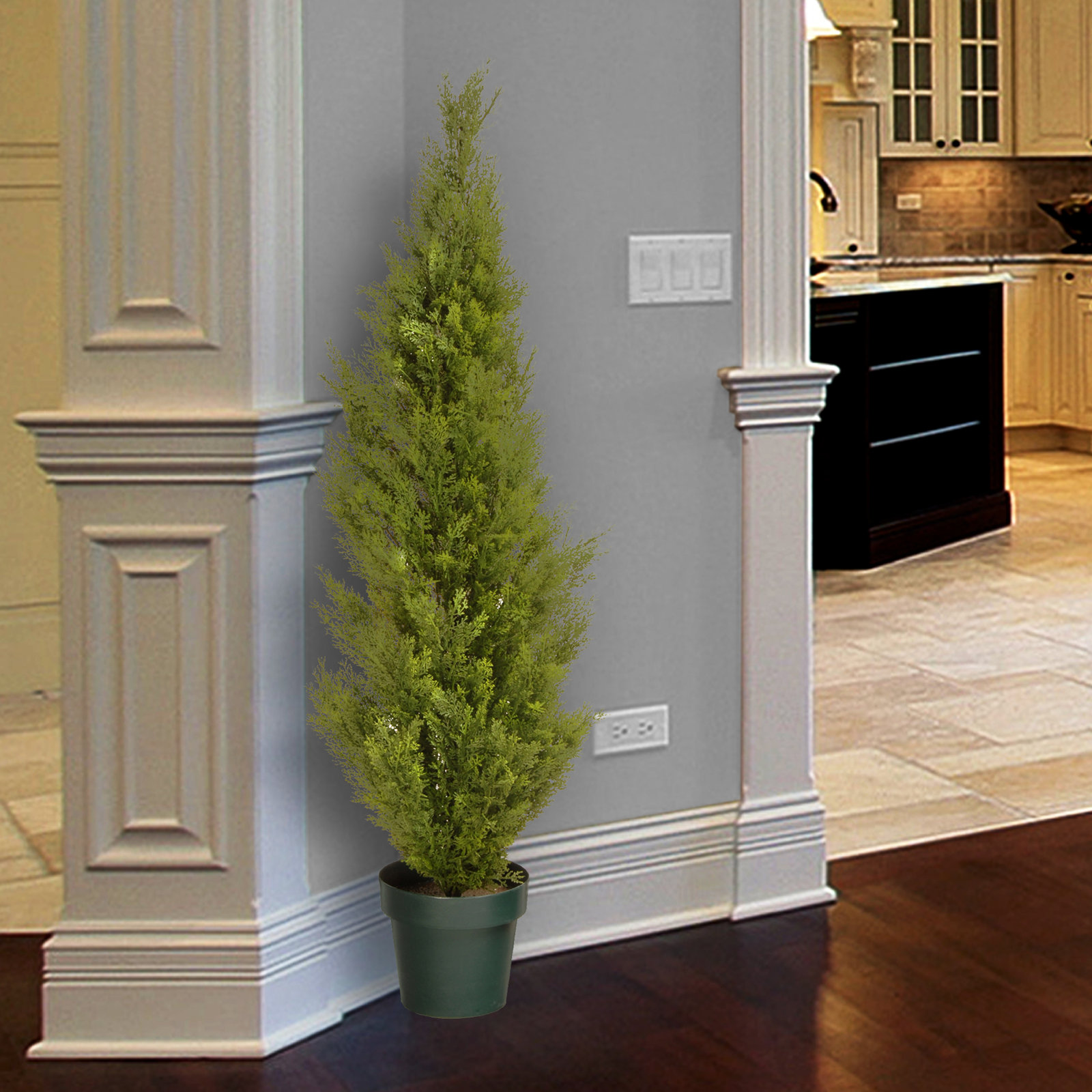 Cedar Topiary in Pot, 60" H x 13" W x 13" D