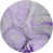 Mauve sélectionné