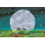The Very Quiet Cricket Character Art Back Cover - Painting on Canvas-1728780060