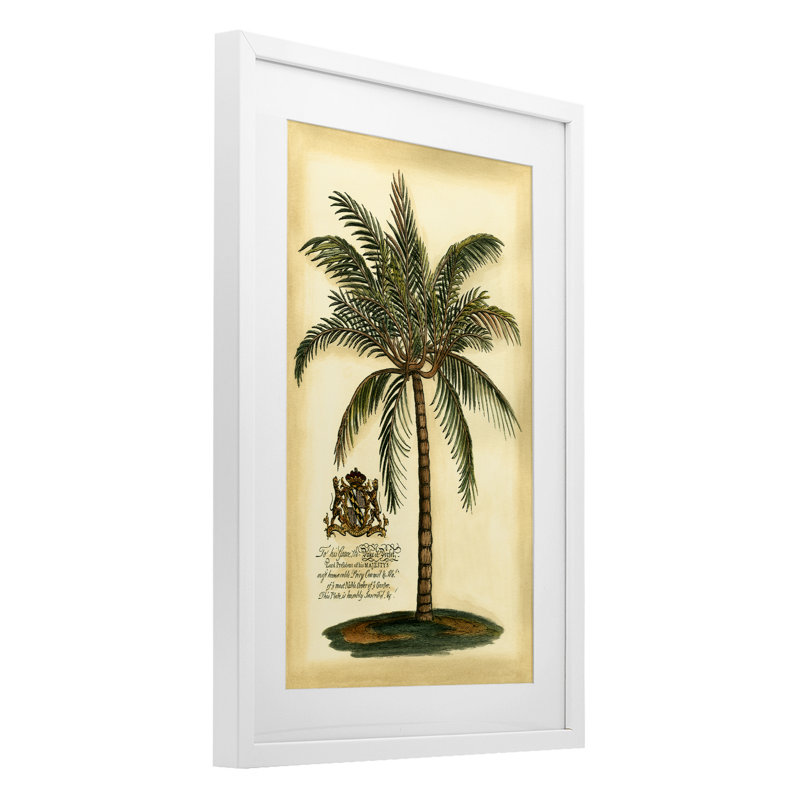 «British Colonial Palm», reproduction sous verre encadrée, conception par Vision Studio, H 20 po x l 14 po
