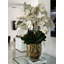 Orchid Floral Arrangement in Vase