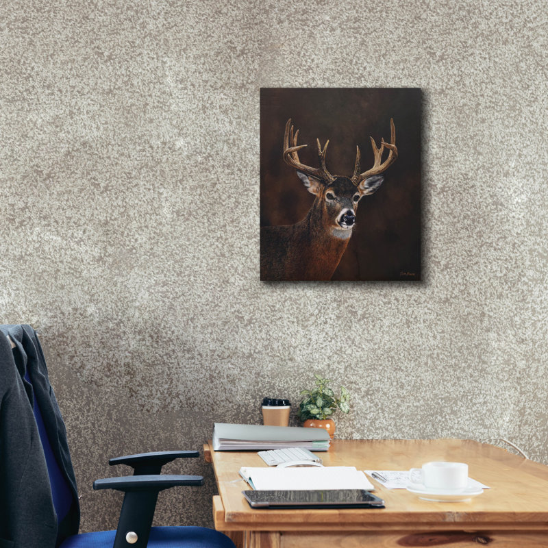 Toile épique Graffiti «White Tailed 12 Point Buck» par Jim Brune, 20 po x 24 po, H 24 po x l 20 po