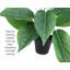 Plante artificielle en pot