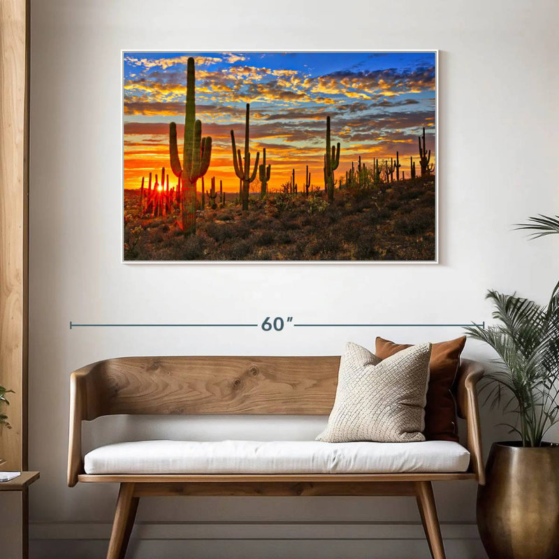 Cactus coucher de soleil, Cadre flottant blanc, 46 po x 31 po