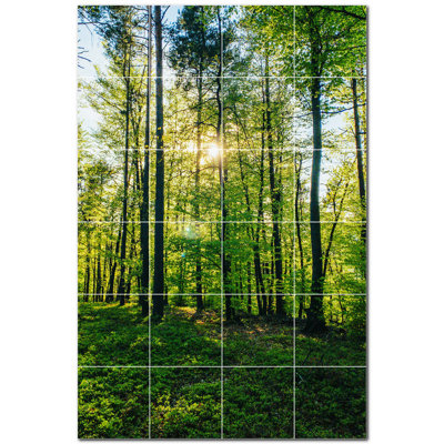 Trees Photo 8'' x 8'' Satin Ceramic Decorative Mural