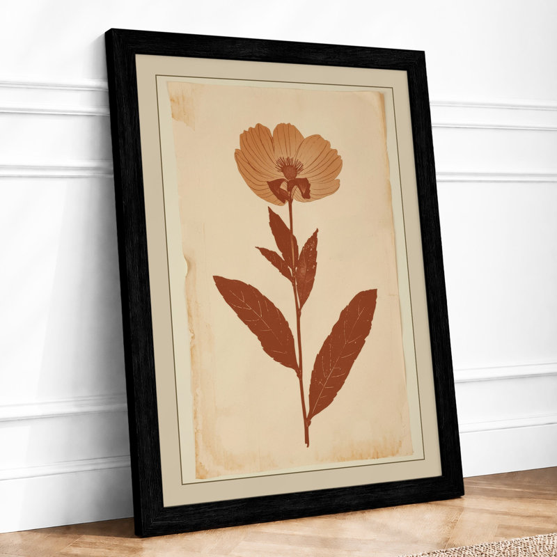 Herbarium Specimen Botanical - Print, Black, A3 - 42.0 x 29.7 cm