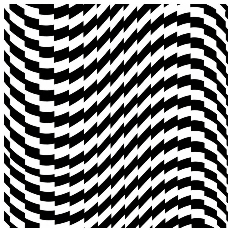 Couvertures d'illusion optique noires et blanches, L 60 po x H 80 po