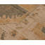 Navareh One-of-a-Kind 8' X 10' Area Rug