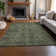 Premium Machine Washable Cerrito AMF571 Green Rug