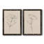 Toile encadrée de qualité supérieure Floral Contour Study III - prête à être accrochée-1473914134-1473914143