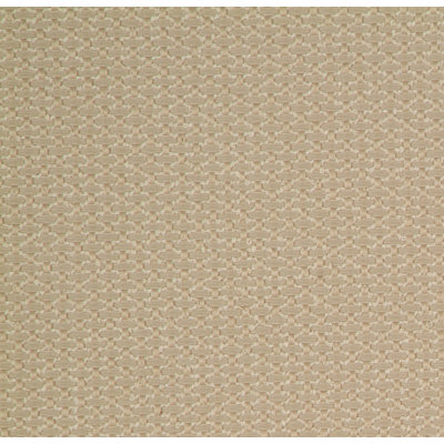Allure Fabric