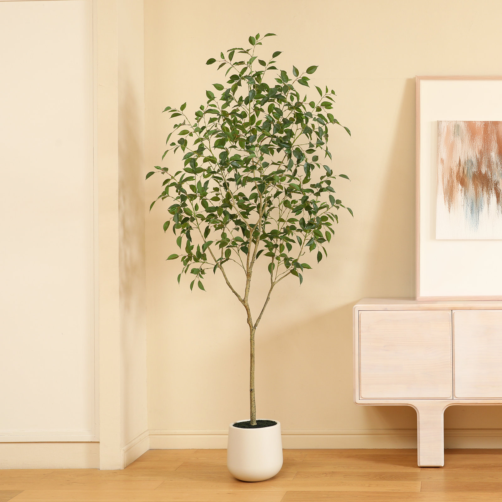 Anasta Ficus Tree in Pot, 84" H x 28" W x 28" D