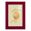 «Dappled Oranges III», reproduction d'art encadrée-90560732-90560731