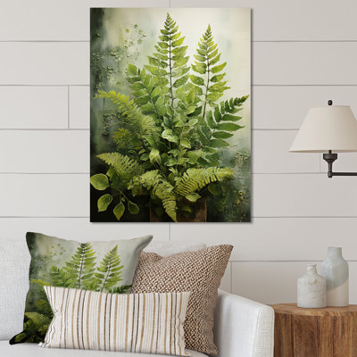 " Ferns Plant Timeless Elegance IV "