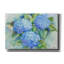 «Sky Blue Hydrangea» par Paul Brent, art mural sur toile, 60 po x 40 po-2061089016