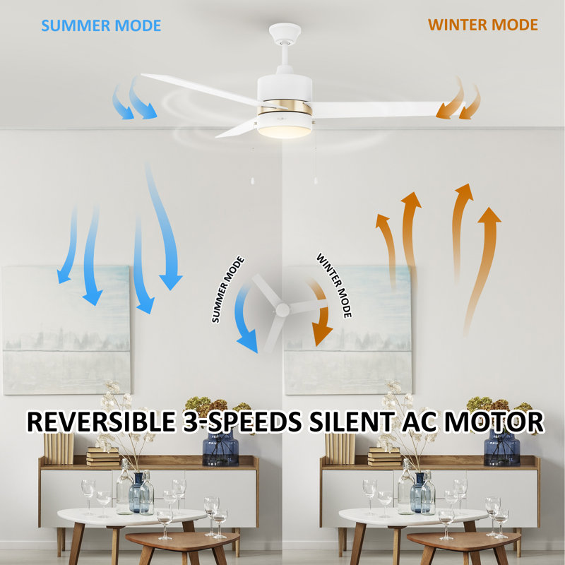 Derryhirk 52'' Ceiling Fan with LED Lights, White