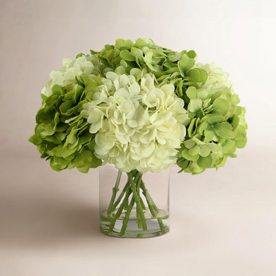 Hydrangea in Vase