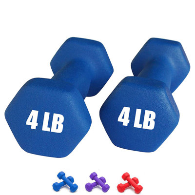 2 Pcs Dip coating Neoprene Dumbbell Hand Weights for Exercise and Muscle Toning Blue 1LBS