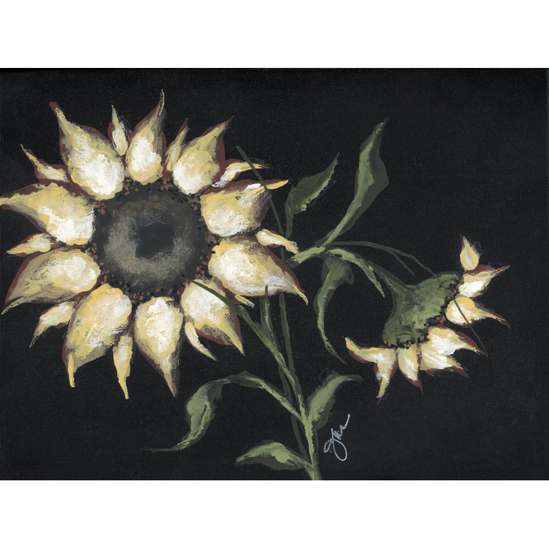 Tournesol sur fond noir sur toile par Julie Norkus, H 24 po x l 36 po