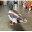 Statue mâle canard colvert