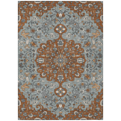 Machine Washable Indoor/Outdoor Chantille ACN2463 Traditional Rug