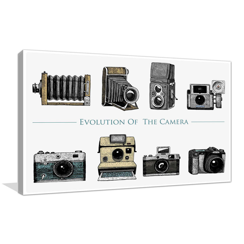 " Cameras ", 36" H x 60" W x 1.5" D