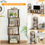 124.5 cm H x 38 cm W Standard Bookcase
