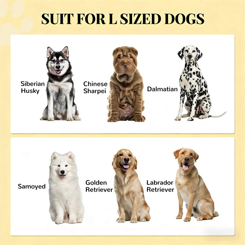 Organisateur de nourriture pour chien et armoire de rangement pour aliments, Gris