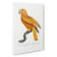 Parrot Of Paradise by F. Levaillant - Wrapped Canvas-55366537