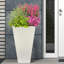 Plant Pot-788838803-804733378