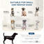 Pet Couch For Small Dogs - Elevated, Grey Cushion With Storage Box Dog Hidden And Soft & Medium-1170111218