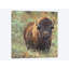 «Bison II», impression sur toile-33109118-72414539-72414554