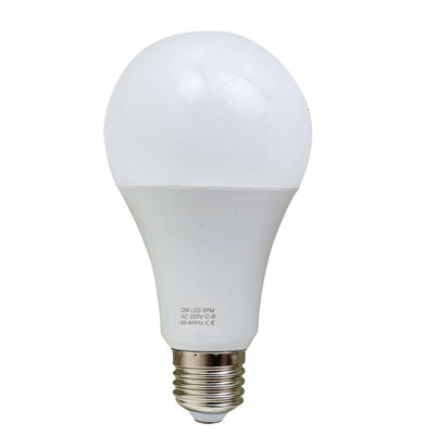 A60 Globe LED E27 12W Bulb 5PK