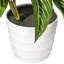 21.6'' Faux Plant in Ceramic Pot