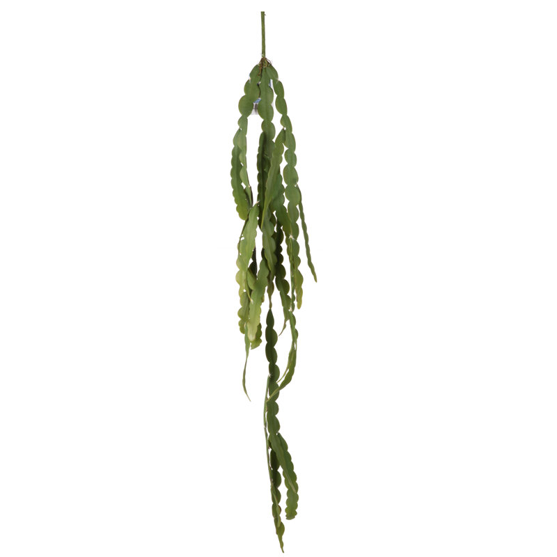 Cactus Arrangement