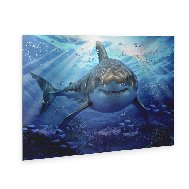 Art flottant en aluminium brossé «Stalking Shark» Howard Robinson