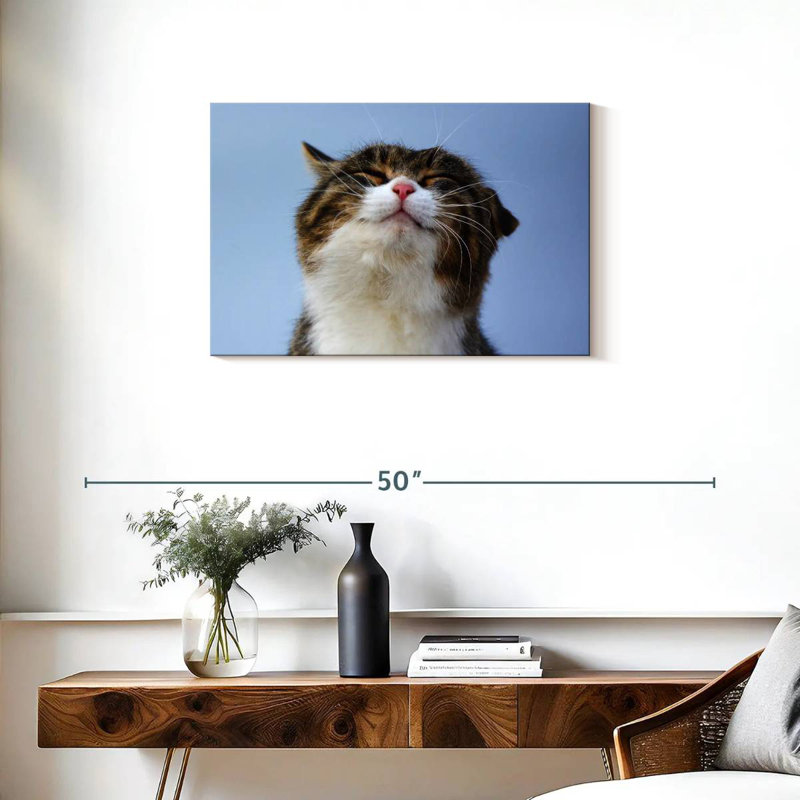 Chat rafraîchi, H 20 po x l 30 po