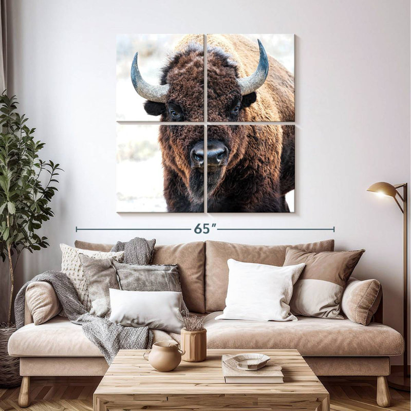 Bison d'Amérique - un trésor national, H 45 po x l 45 po