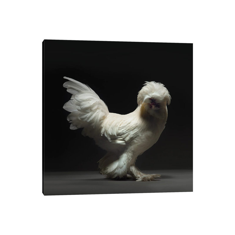Sultano - Wrapped Canvas Print, 30.48 cm H x 30.48 cm W