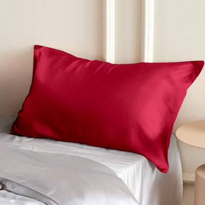 Taie d'oreiller en soie naturelle Zippered