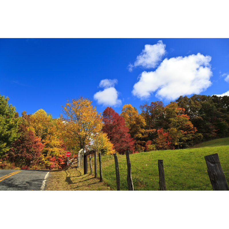 Country Road - Wrapped Canvas Print, 30cm H x 46cm W x 3.8cm D
