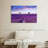 Alvord Valensole Lavender Fields-107704296