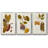 " Bright Stack I " 3 - Pieces-144939542-144939541
